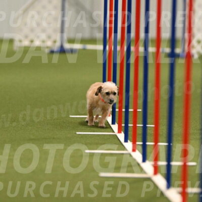 Molly-Cheryl-Christy-07582