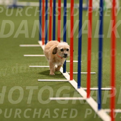 Molly-Cheryl-Christy-07583