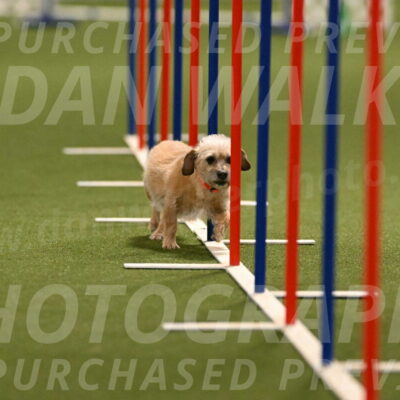 Molly-Cheryl-Christy-07584