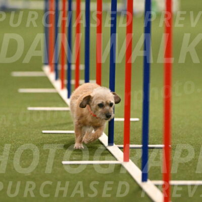 Molly-Cheryl-Christy-07585