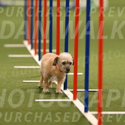 Molly-Cheryl-Christy-07586