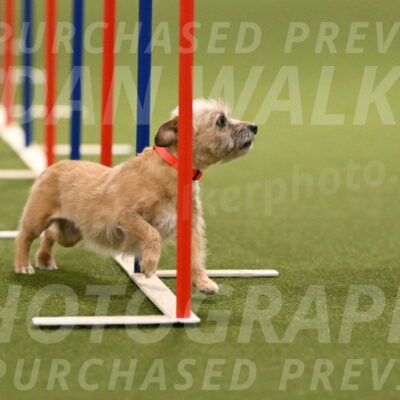 Molly-Cheryl-Christy-07587