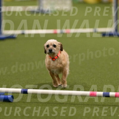 Molly-Cheryl-Christy-07588