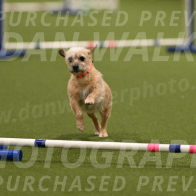 Molly-Cheryl-Christy-07589