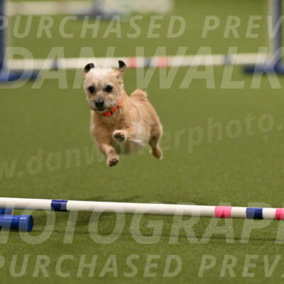 Molly-Cheryl-Christy-07590