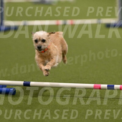 Molly-Cheryl-Christy-07591