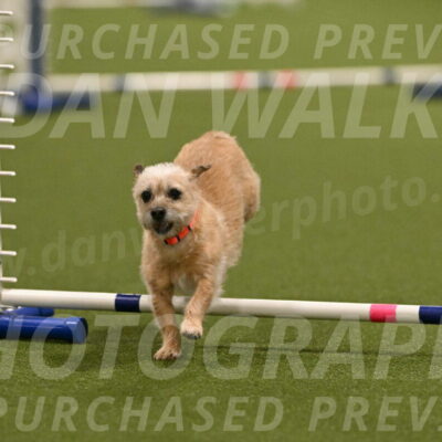 Molly-Cheryl-Christy-07592