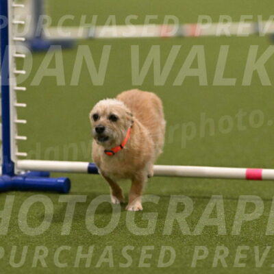 Molly-Cheryl-Christy-07593