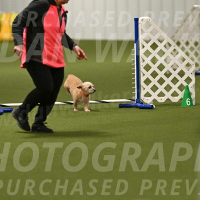 Molly-Cheryl-Christy-07594