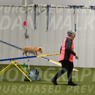 Molly-Cheryl-Christy-07601