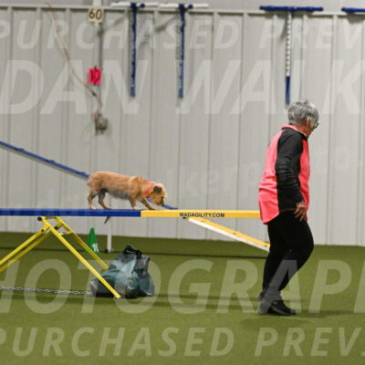 Molly-Cheryl-Christy-07603