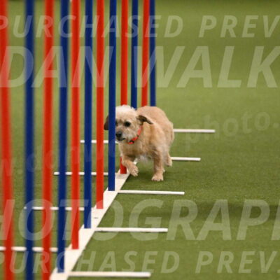 Molly-Cheryl-Christy-07604