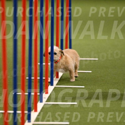 Molly-Cheryl-Christy-07605