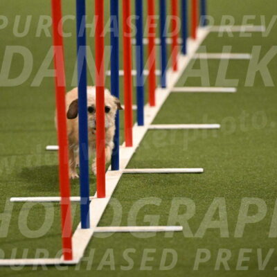 Molly-Cheryl-Christy-07606