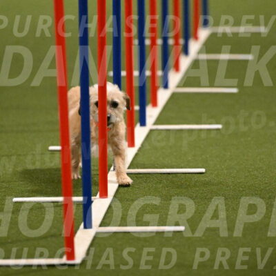 Molly-Cheryl-Christy-07607