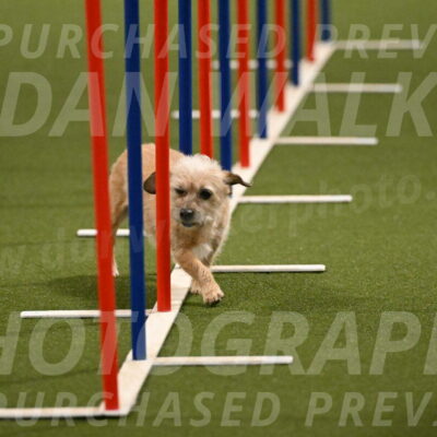 Molly-Cheryl-Christy-07608