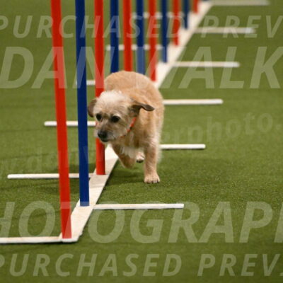 Molly-Cheryl-Christy-07609