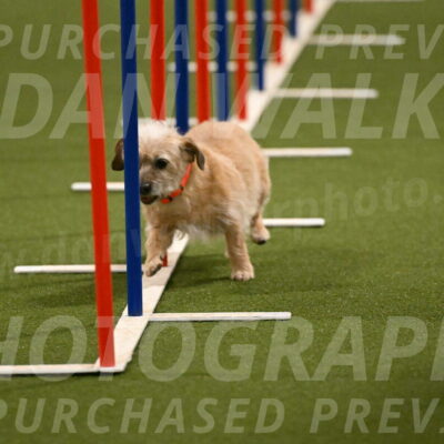 Molly-Cheryl-Christy-07610