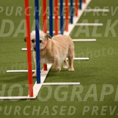 Molly-Cheryl-Christy-07611