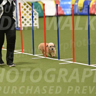 Molly-Cheryl-Christy-07612