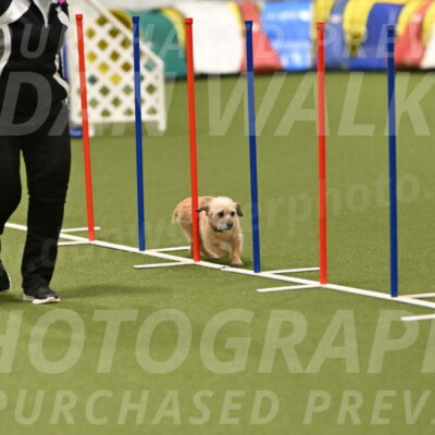 Molly-Cheryl-Christy-07613