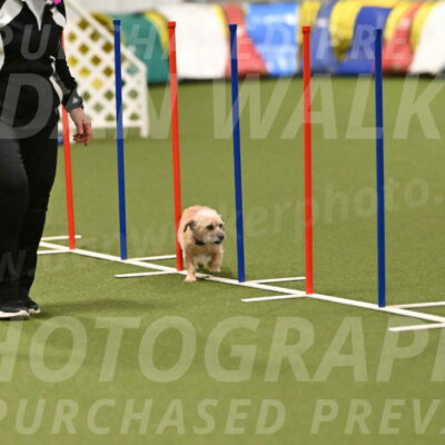 Molly-Cheryl-Christy-07614