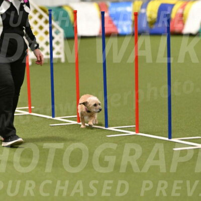 Molly-Cheryl-Christy-07615