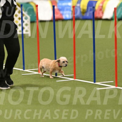 Molly-Cheryl-Christy-07616