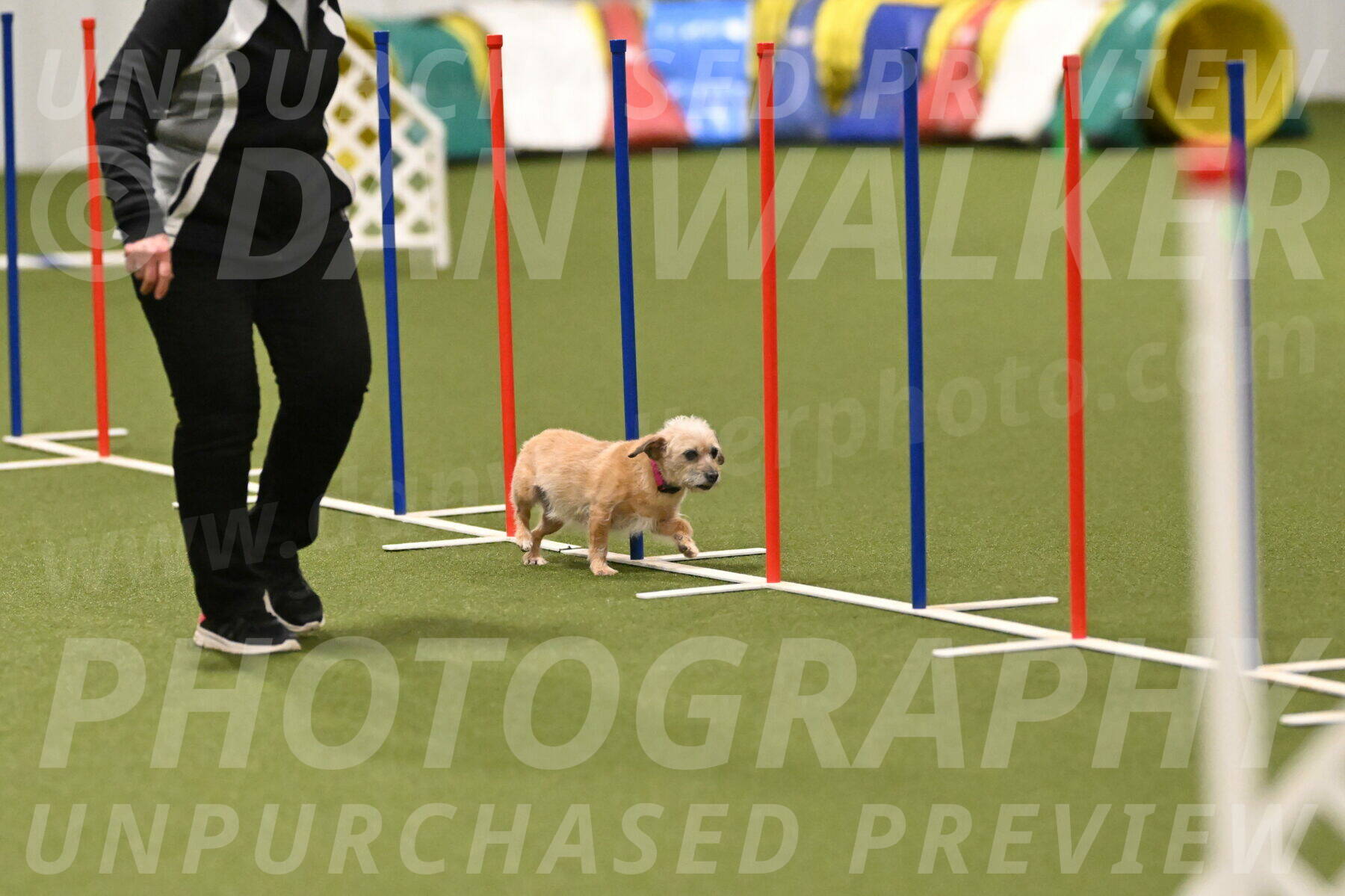 Molly-Cheryl-Christy-07616