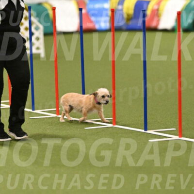 Molly-Cheryl-Christy-07617