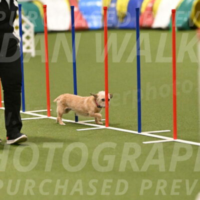 Molly-Cheryl-Christy-07618