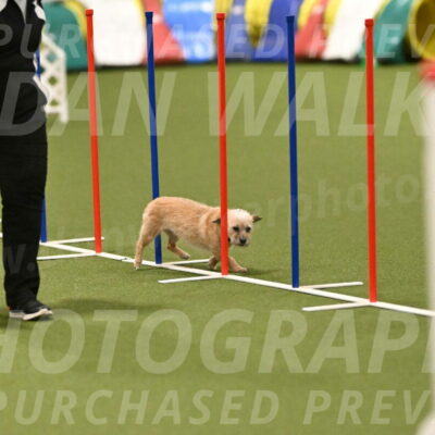 Molly-Cheryl-Christy-07619