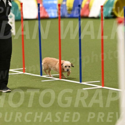 Molly-Cheryl-Christy-07620