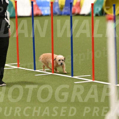 Molly-Cheryl-Christy-07621