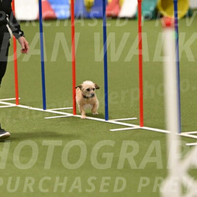 Molly-Cheryl-Christy-07622