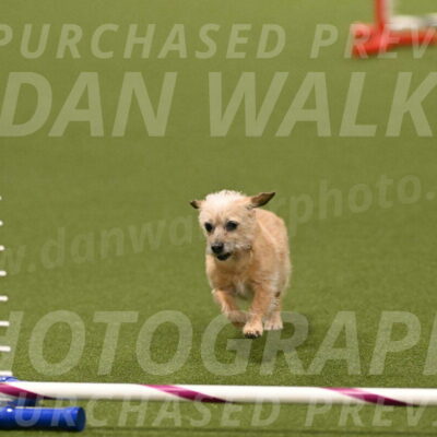 Molly-Cheryl-Christy-07623