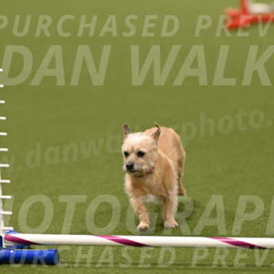 Molly-Cheryl-Christy-07624