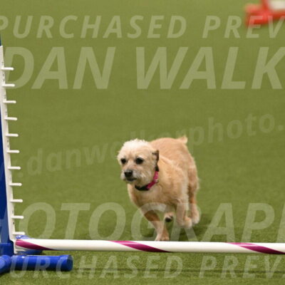 Molly-Cheryl-Christy-07625