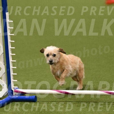 Molly-Cheryl-Christy-07626