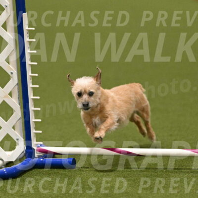 Molly-Cheryl-Christy-07627