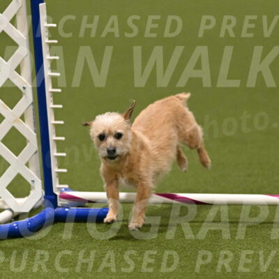 Molly-Cheryl-Christy-07628