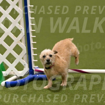 Molly-Cheryl-Christy-07629