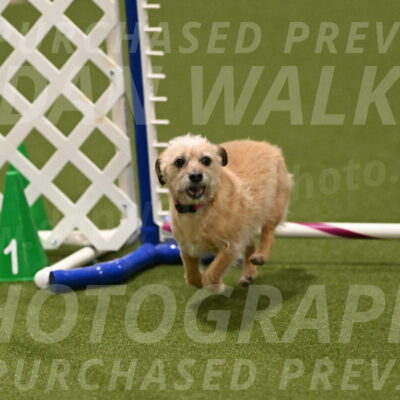 Molly-Cheryl-Christy-07630