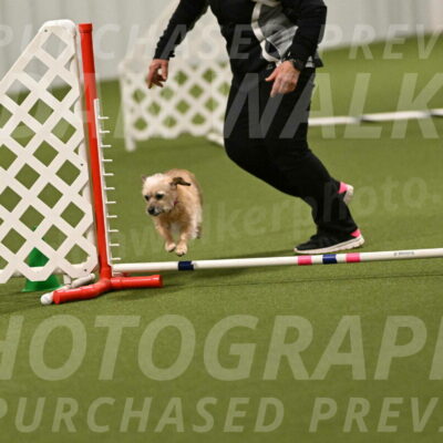 Molly-Cheryl-Christy-07631