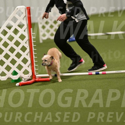 Molly-Cheryl-Christy-07632