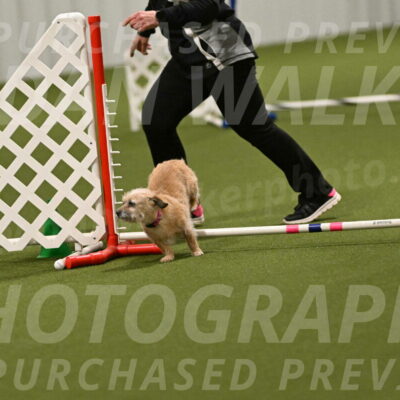 Molly-Cheryl-Christy-07633