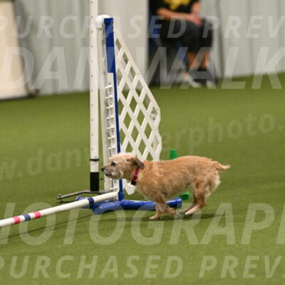 Molly-Cheryl-Christy-07634