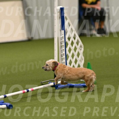 Molly-Cheryl-Christy-07635