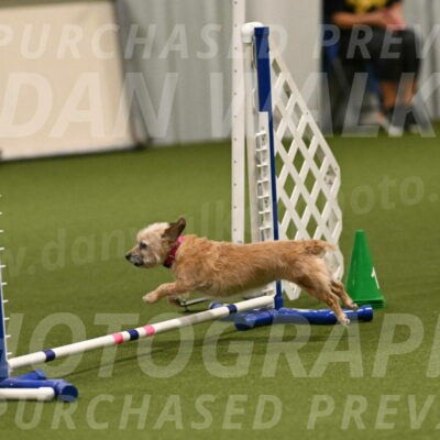 Molly-Cheryl-Christy-07636