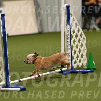 Molly-Cheryl-Christy-07637